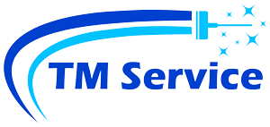 TMService Logo